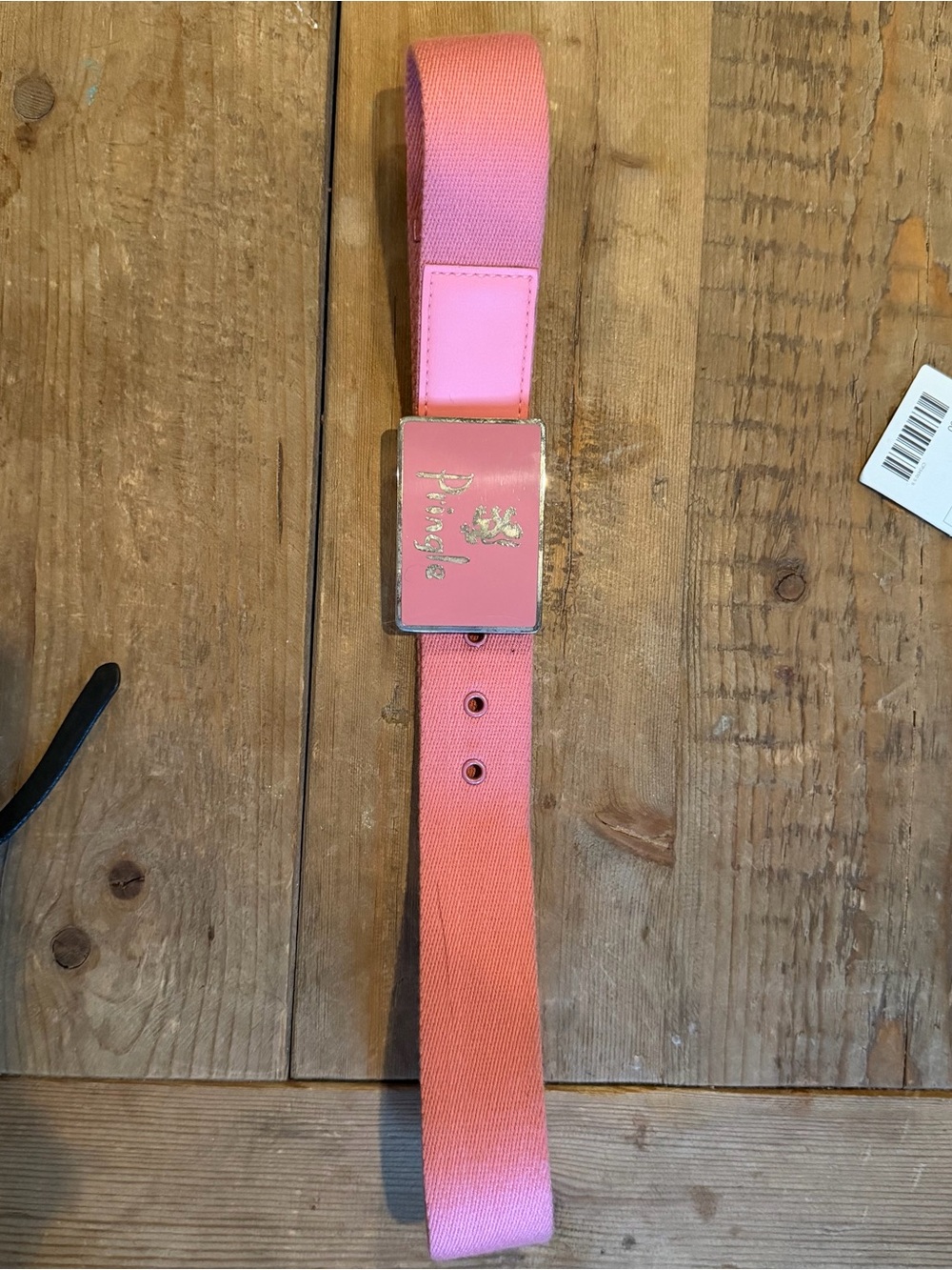 Pink Ombre Canvas Belt with Pink Buckle